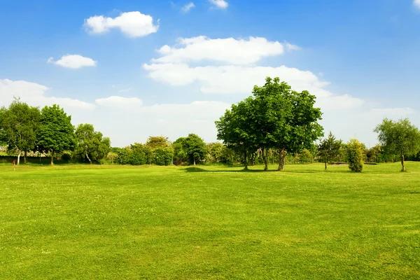 Understanding Northern Ohio Landscape Grass: Choosing the Right Turf for Your Yard