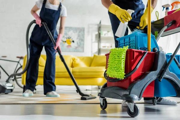 Tacoma Carpet Cleaning: Eco-Friendly and Safe for Your Family