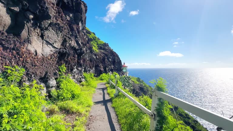 Snorkel with Turtles Oahu Adventure Tours